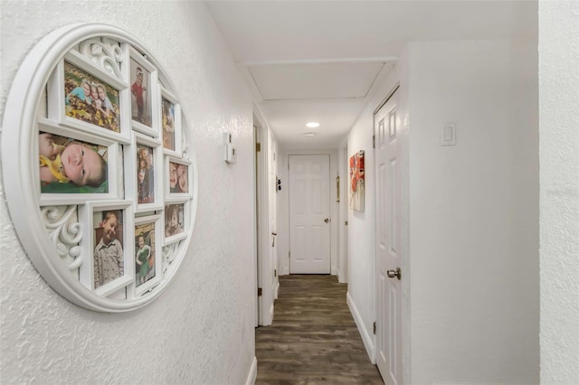 5741 91st Ave N, Pinellas Park, FL 33782 - photo 33