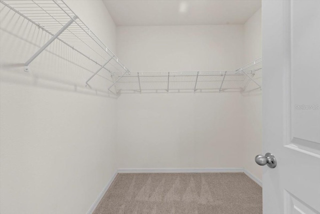 33369 Hamilton Hill Ln, Wesley Chapel, FL 33545 - walk in closet with carpet