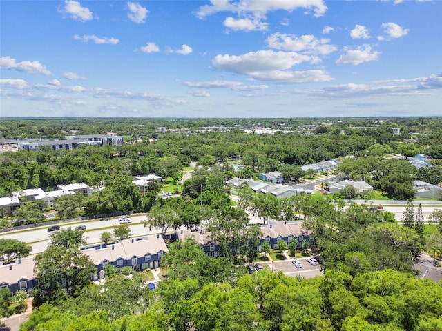 3335 Fox Hunt Dr, Palm Harbor, FL 34683 - aerial view of a tree filled landscape