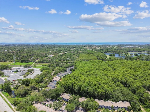 3335 Fox Hunt Dr, Palm Harbor, FL 34683 - drone / aerial view of a forest and a large body of water