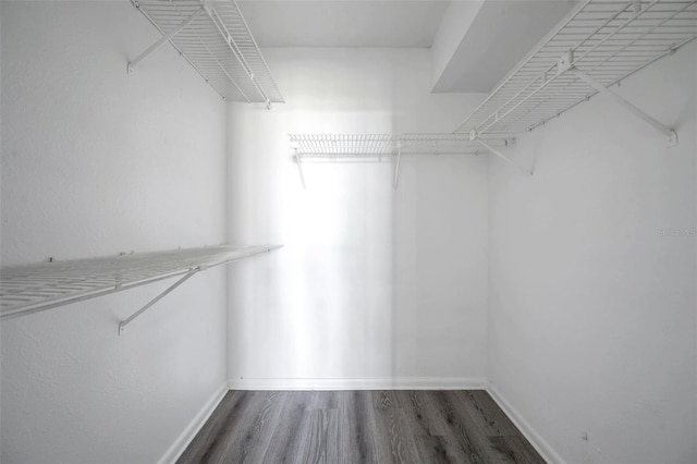 2049 Skimmer Ct W Unit 311, Clearwater, FL 33762 - photo 26