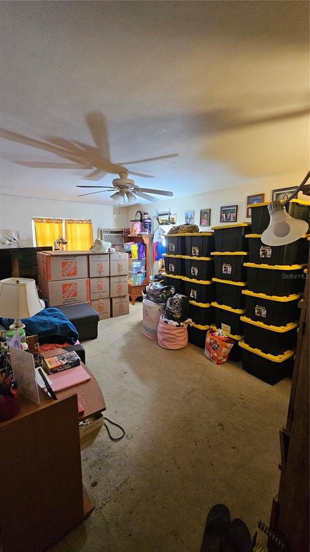 714 Gray St S, Gulfport, FL 33707 - photo 9