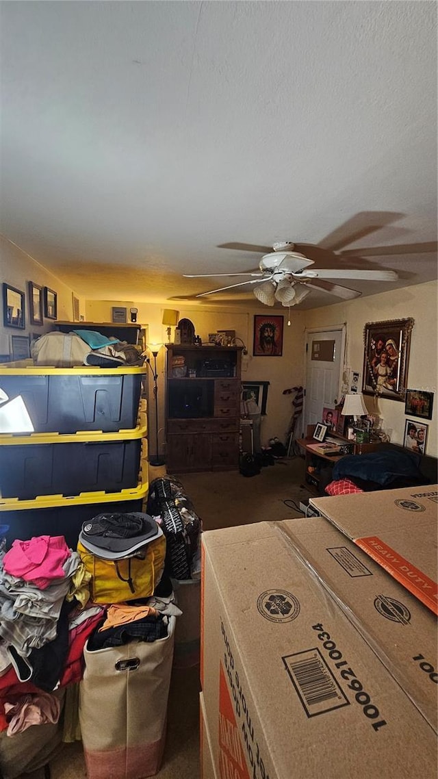 714 Gray St S, Gulfport, FL 33707 - photo 10
