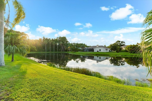 3360 Hickorywood Way, Tarpon Springs, FL 34688 - photo 52
