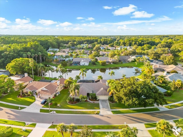 3360 Hickorywood Way, Tarpon Springs, FL 34688 - photo 54