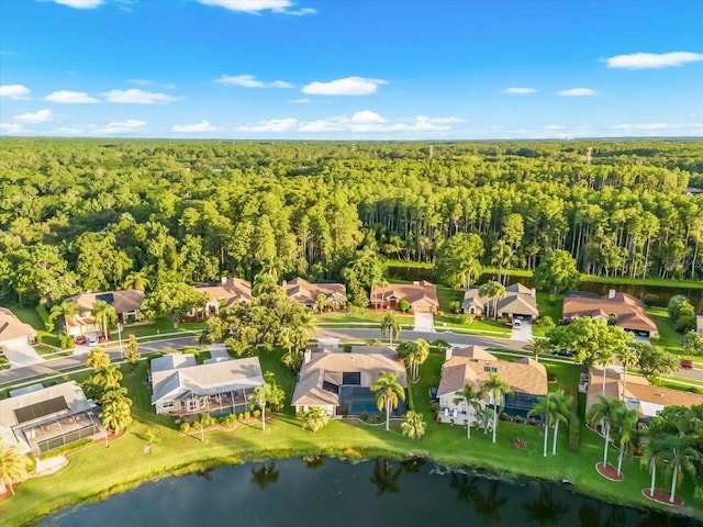 3360 Hickorywood Way, Tarpon Springs, FL 34688 - photo 58