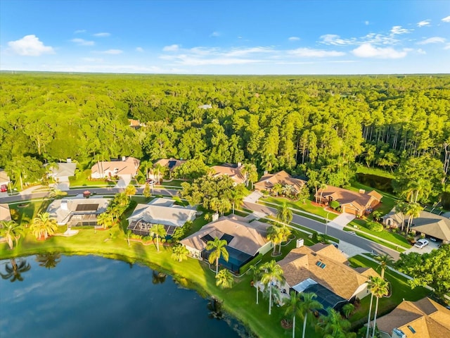 3360 Hickorywood Way, Tarpon Springs, FL 34688 - photo 59