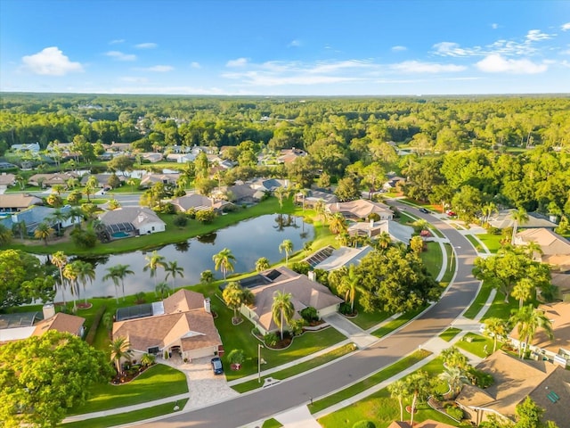3360 Hickorywood Way, Tarpon Springs, FL 34688 - photo 60