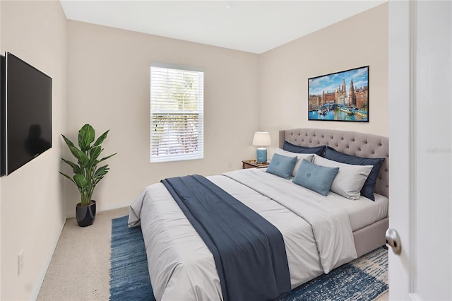 12710 Buffalo Run Dr, Gibsonton, FL 33534 - bedroom with carpet floors and baseboards