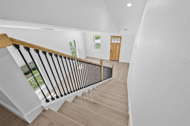 7617 Alvina St, Tampa, FL 33625 - photo 23