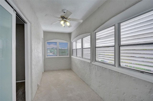 924 Mcintosh St, West Palm Beach, FL 33405 - photo 9
