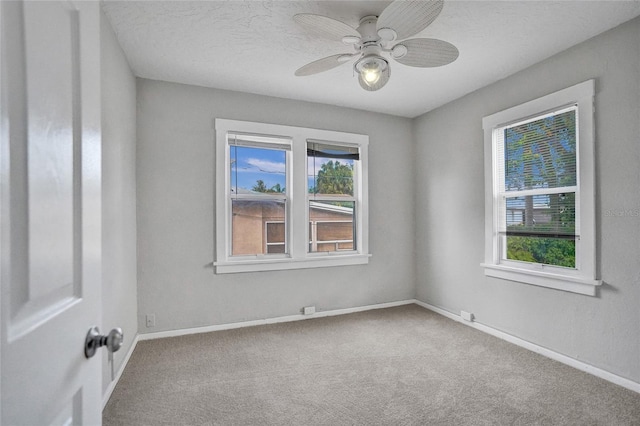 924 Mcintosh St, West Palm Beach, FL 33405 - photo 16