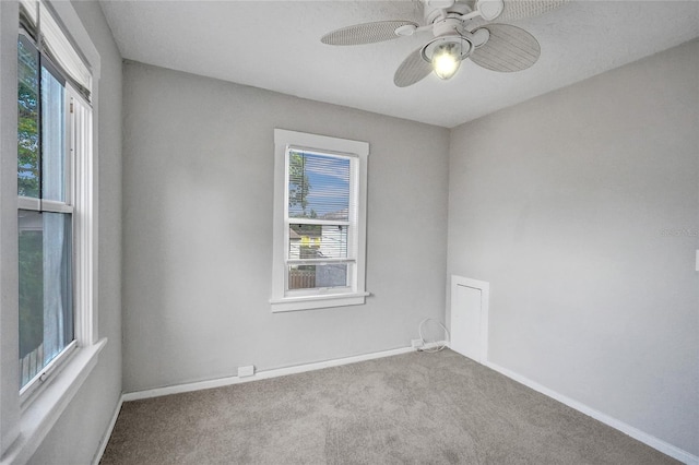 924 Mcintosh St, West Palm Beach, FL 33405 - photo 19
