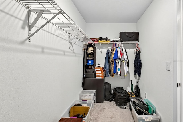 13324 Willow Bluestar Loop, Riverview, FL 33579 - spacious closet featuring carpet flooring