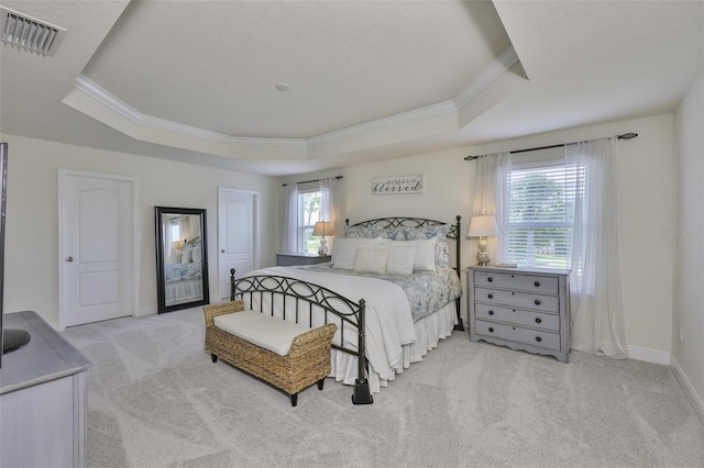 11044 Spring Point Cir, Riverview, FL 33579 - carpeted bedroom featuring a raised ceiling and ornamental molding