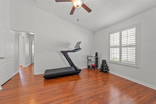 2817 La Concha Dr, Clearwater, FL 33762 - photo 12