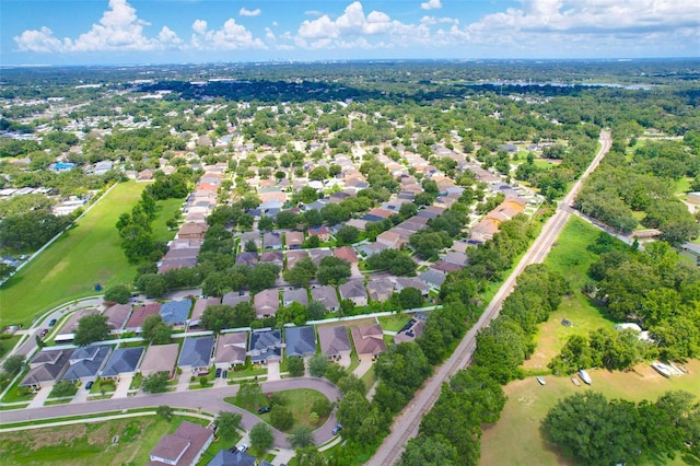 320 Roxbury Crossing Ct, Valrico, FL 33594 - drone / aerial view