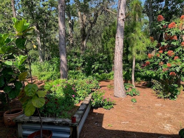 1875 Harmony Dr, Clearwater, FL 33756 - photo 19