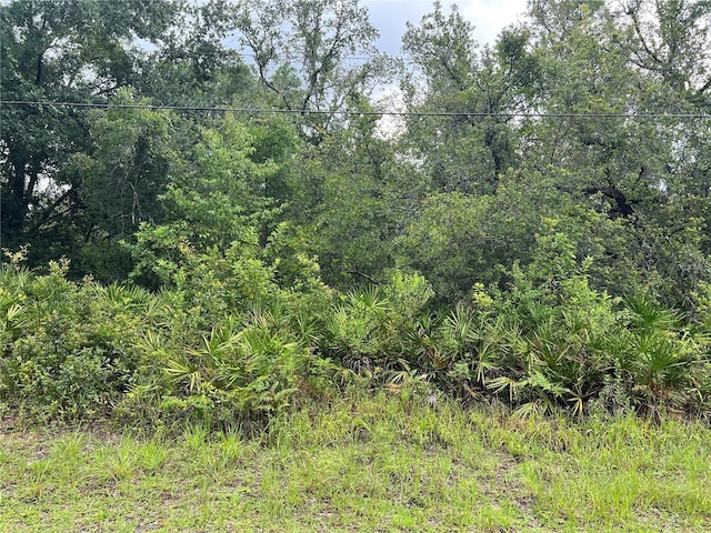 10232 Field St, New Port Richey, FL 34654 - photo 3