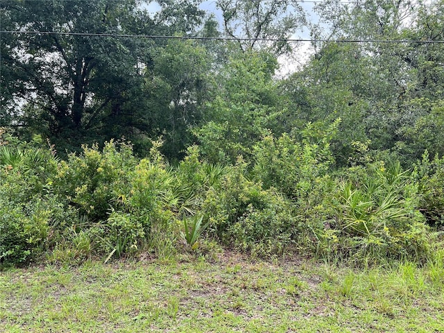 10232 Field St, New Port Richey, FL 34654 - photo 8