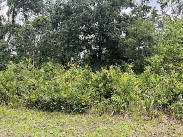 10232 Field St, New Port Richey, FL 34654 - photo 9