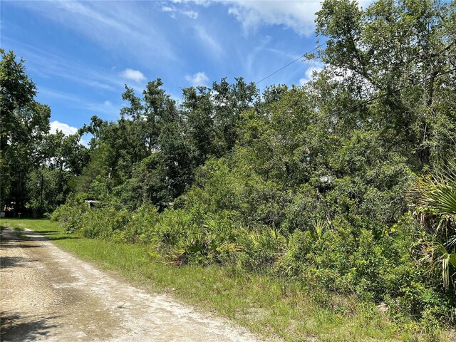 10232 Field St, New Port Richey, FL 34654 - photo 2