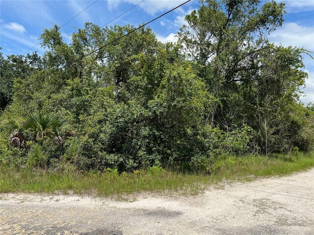 10232 Field St, New Port Richey, FL 34654 - photo 1