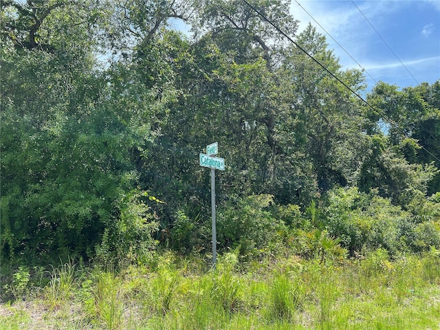 10232 Field St, New Port Richey, FL 34654 - photo 5