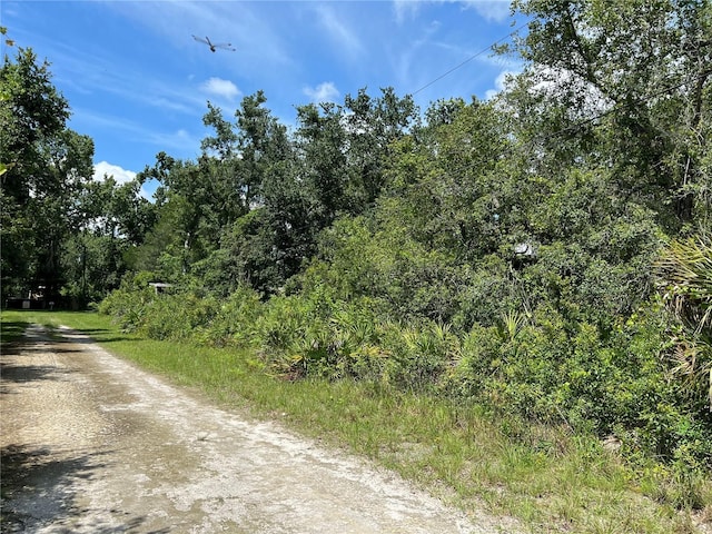 10232 Field St, New Port Richey, FL 34654 - photo 4