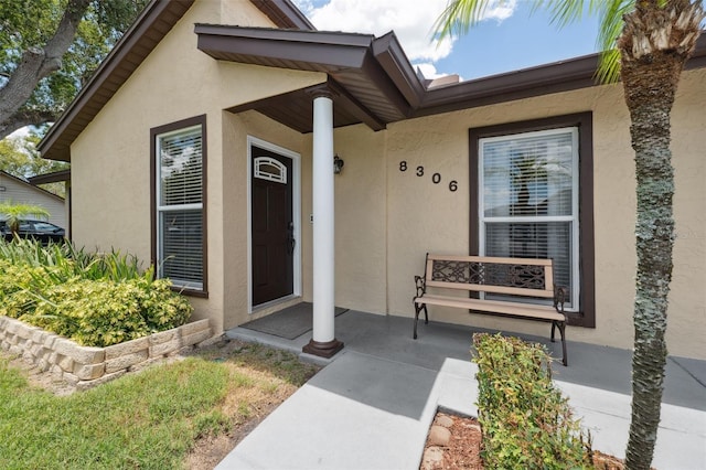 8306 N Gomez Ave, Tampa, FL 33614 - photo 3