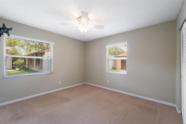 8306 N Gomez Ave, Tampa, FL 33614 - photo 19