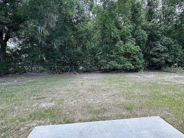 1737 N Lakewood Ave, Ocoee, FL 34761 - view of green lawn