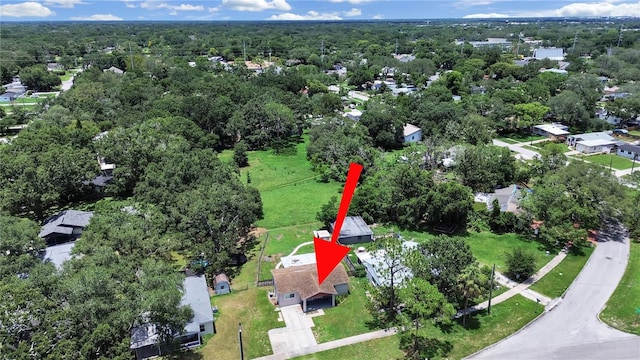 9413 Forest Hills Dr, Tampa, FL 33612 - photo 28