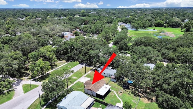 9413 Forest Hills Dr, Tampa, FL 33612 - photo 32