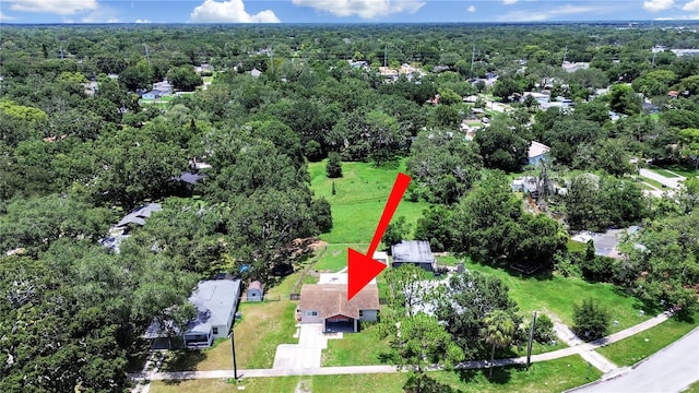 9413 Forest Hills Dr, Tampa, FL 33612 - photo 33