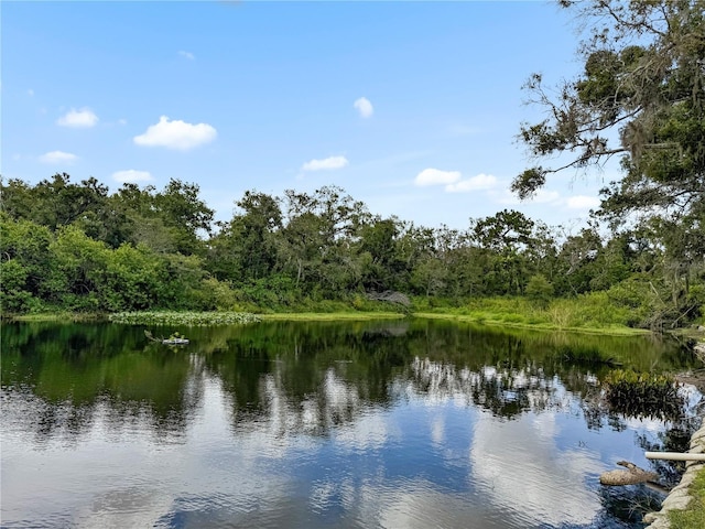 2625 State Road 590 Unit 723, Clearwater, FL 33759 - water view featuring a heavily wooded area