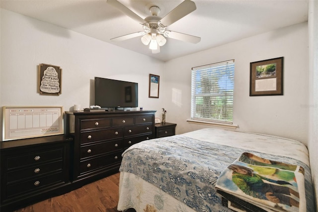 2222 Arch Mcdonald Dr, Dover, FL 33527 - photo 39