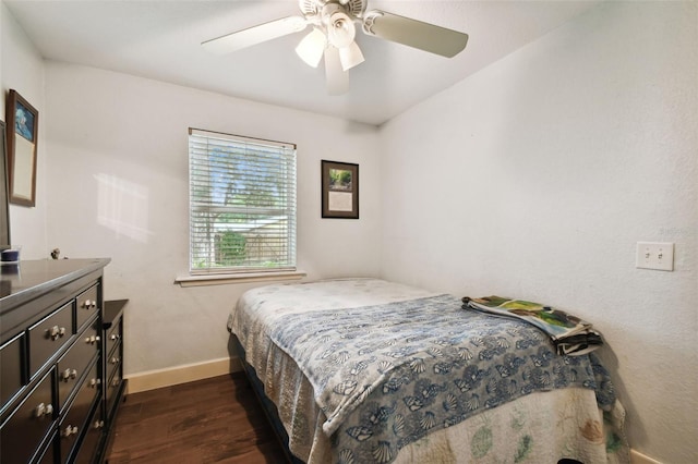 2222 Arch Mcdonald Dr, Dover, FL 33527 - photo 40