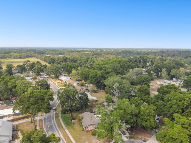 2222 Arch Mcdonald Dr, Dover, FL 33527 - photo 58