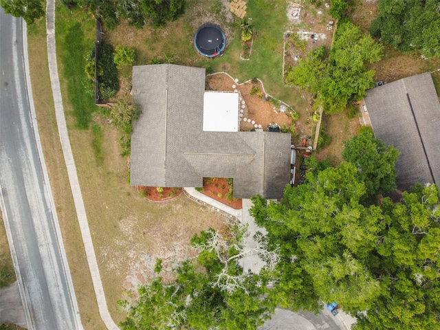 2222 Arch Mcdonald Dr, Dover, FL 33527 - photo 60