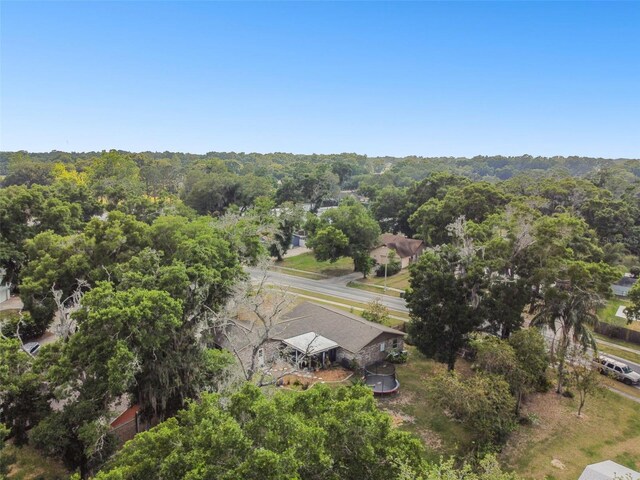 2222 Arch Mcdonald Dr, Dover, FL 33527 - photo 61