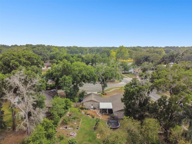 2222 Arch Mcdonald Dr, Dover, FL 33527 - photo 62
