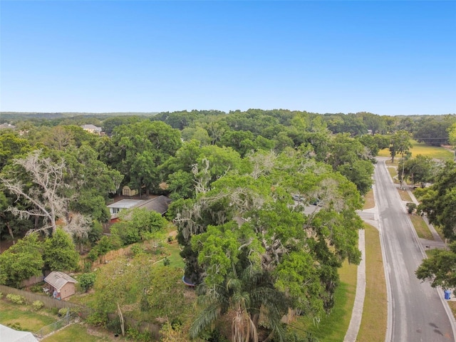 2222 Arch Mcdonald Dr, Dover, FL 33527 - photo 63