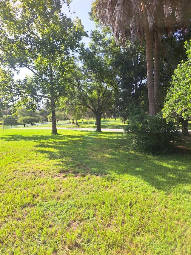 3645 E Country Side Dr, Inverness, FL 34452 - view of green lawn