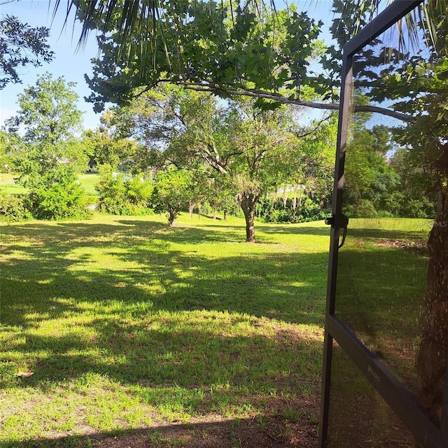3645 E Country Side Dr, Inverness, FL 34452 - view of green lawn