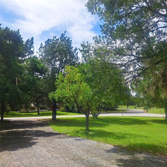 3645 E Country Side Dr, Inverness, FL 34452 - surrounding community featuring a yard