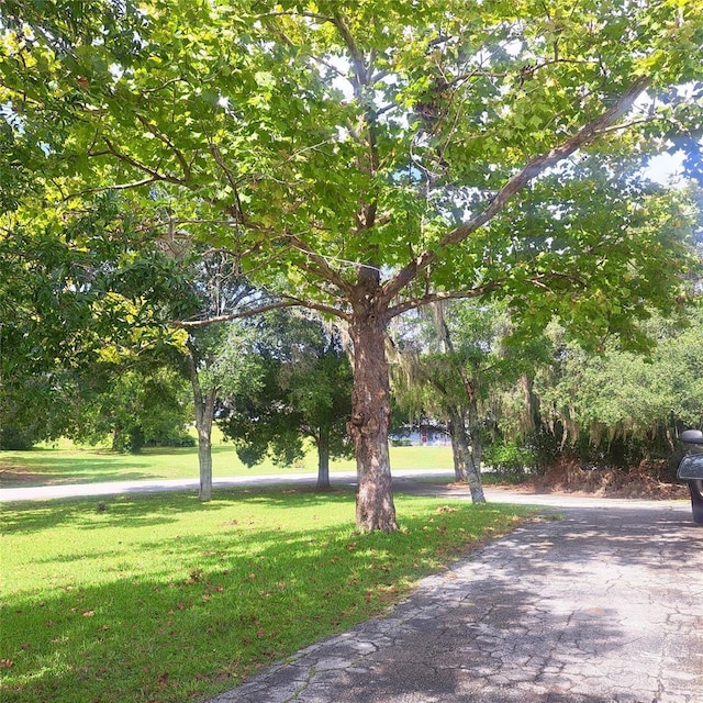 3645 E Country Side Dr, Inverness, FL 34452 - surrounding community featuring a lawn