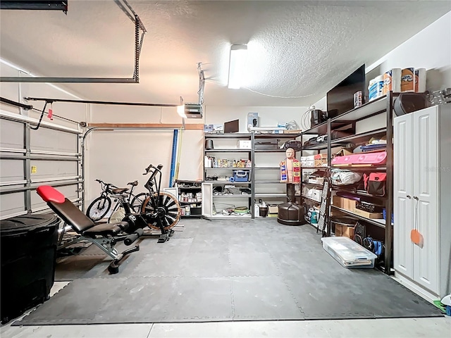 3409 61st Ter E, Ellenton, FL 34222 - garage featuring a garage door opener