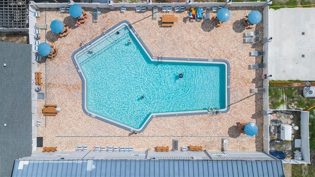 11913 Butler Woods Cir, Riverview, FL 33579 - view of pool