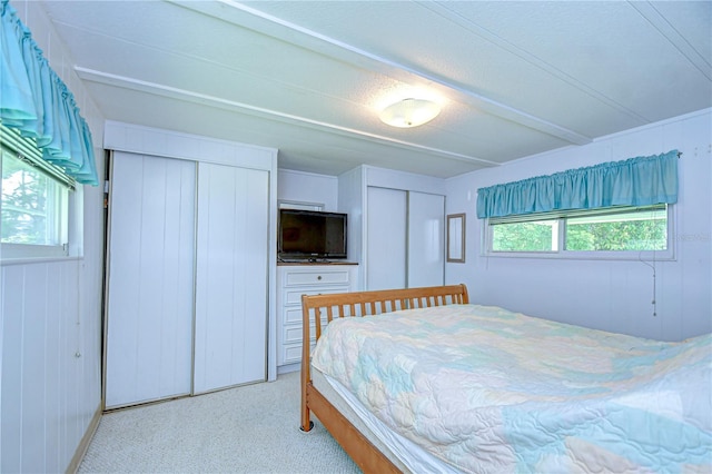 35014 Carl Ave, Zephyrhills, FL 33541 - bedroom with two closets and light colored carpet